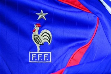 图文-世界杯32强球队队徽一览法国国家队队徽