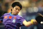 八战全胜战绩轻松卫冕--世乒赛中国女团夺冠历程