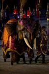 图文-多哈开幕式演绎亚洲风情大象盛装打扮