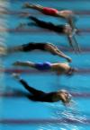 图文-世锦赛27日男子游泳预赛鱼儿纷纷入水