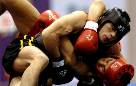图文十运武术散打落幕邰普庆675公斤级决赛夺冠