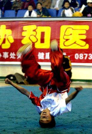 图文-首届中国传统武术节开赛 吴家鑫地躺拳表演