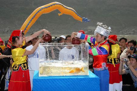 战役-攀枝花仪式长江放生v战役鲤鱼漂流国际_格登山之图文图片