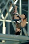 图文-全国跳水冠军赛赛况凝固的力量与之美
