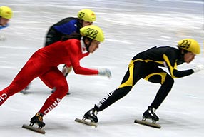 【冬奥会】项目介绍之短跑道速度滑冰