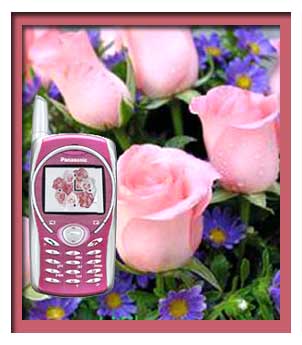 爱情密码——喜欢你那灿烂的笑容   配对手机——『新蝴蝶姬』松蟝g