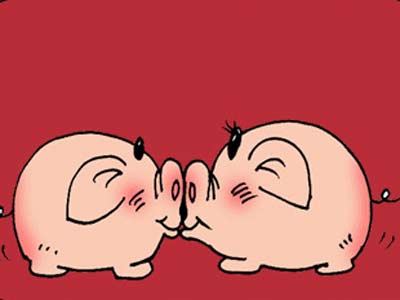 猪亲吻的表情包图片