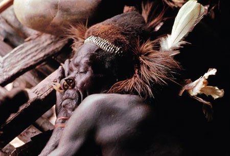 食人族部落 非洲图片