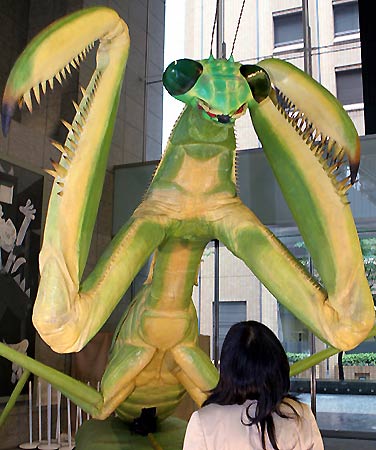 恐怖的大螳螂7月21日,东京marunouchi广场展示一只高大5