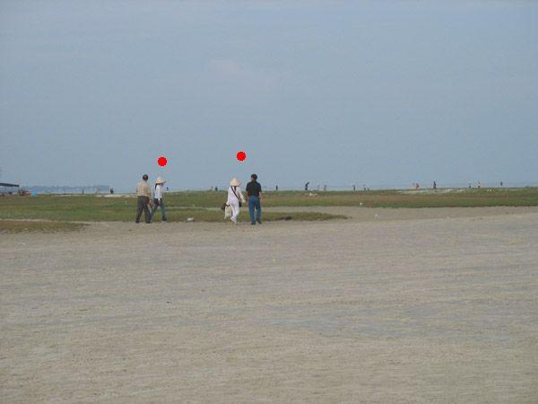 北海银滩陪泳女骗局揭密_新浪论坛_新浪网