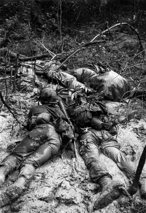 蒙越战争图片