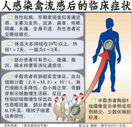 图表:人感染禽流感后的临床症状