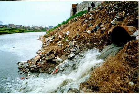 组图:河道布满排污口 安徽滁州清流河不流清
