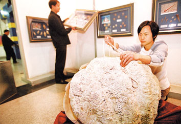 世界珍奇贝壳展在天津科技馆开展(图)