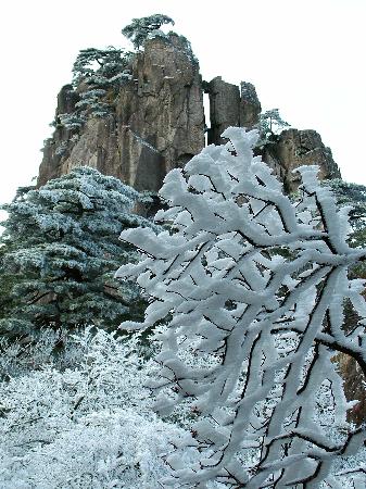 4) 點擊此處查看全部新聞圖片 1月30日在安徽黃山風景區拍攝的霧凇