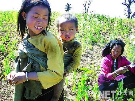 缅北佤邦184天惊魂记图片