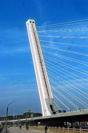 洪山大桥图片