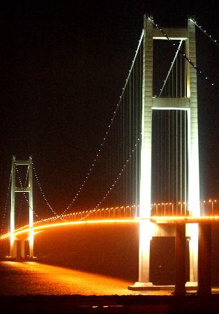 润扬大桥夜景图片