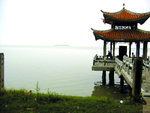 安丰塘中心的岛图片