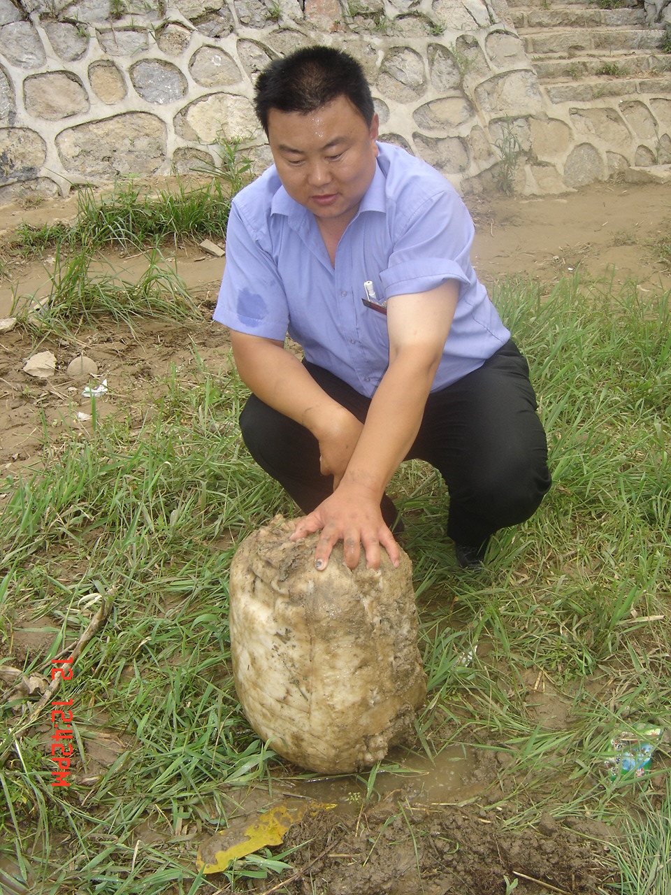 "太岁"头上动了土 蒙阴惊现五个不明生物体(图)