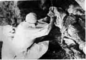 731部队解剖小哑巴图片图片