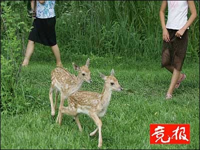 北京部分公園免費後遊人不文明現象激增(組圖)(2)