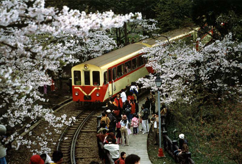 阿里山森林鐵路: 1899年日本人為轉運木材而規劃興建阿里山鐵路