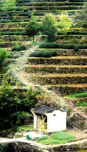 淳安屏门乡旅游景点图片