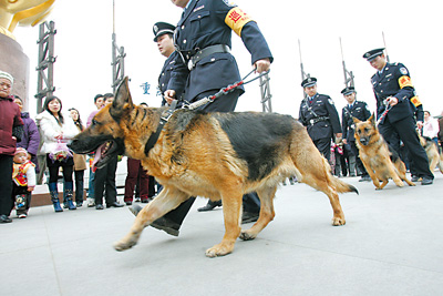 警犬巡逻首上南滨路
