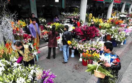 贵阳阿栗国际花卉市场图片