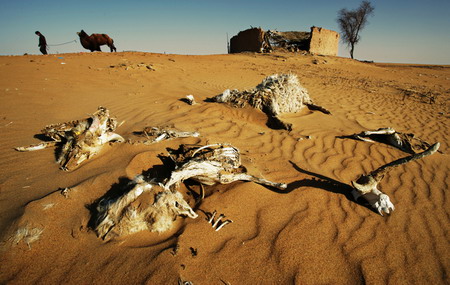 撒哈拉沙漠的危险图片