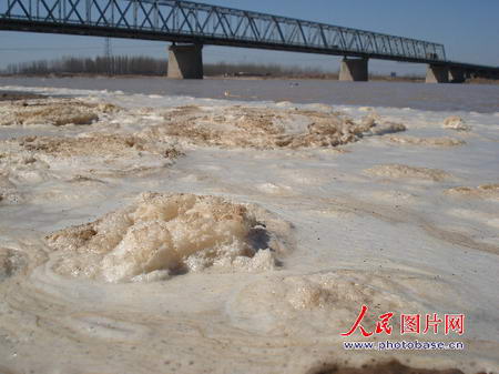 山东滨州段黄河遭受高盐度废水污染组图