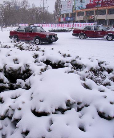 图文:齐齐哈尔出现大风雪天气