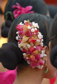 傣族姑娘头上戴的花图片