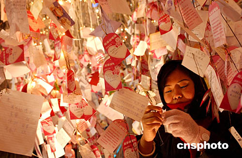 图:北京女孩圣诞树下许愿祝福