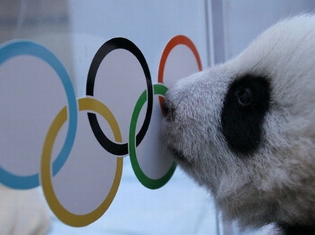 北京奥运熊猫图片