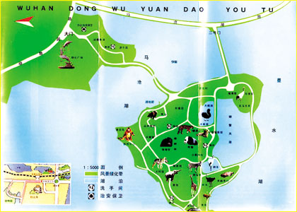 武汉野生动物园路线图图片