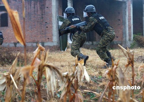 圖:鄭州特警演練野外抓捕