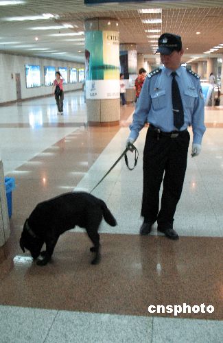 图:上海警察携警犬地铁执勤