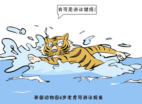 老虎游泳卡通图片