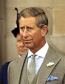 英国秃头王子图片