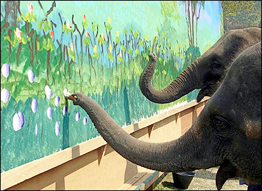 图文:泰国大象绘画创吉尼斯纪录