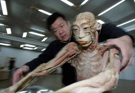 杭州自然博物馆人体图片