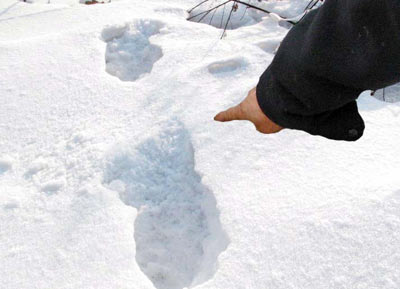 (于海华 魏星 雪地里,留下成串陌生的脚印,跨度足有一米三;深夜间,高