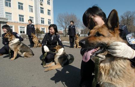 北京警察学院警犬专业图片