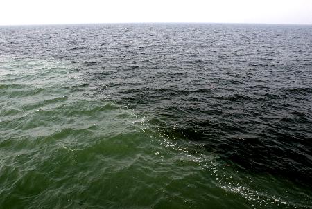 圖文:黃海海州灣海域發生赤潮(2)