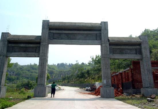 以土地流转的方式在该市长寿区江南镇龙桥湖村强行占地兴建公