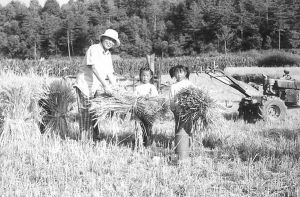 宅门奇女叶广芩(组图)