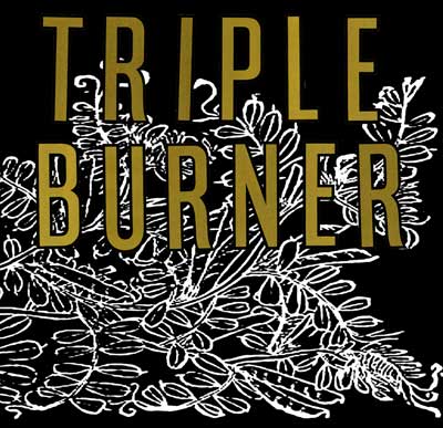 尖儿:triple burner 只有吉他和鼓的精彩