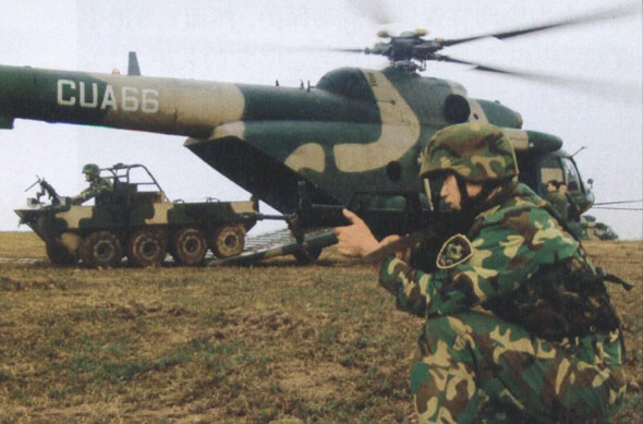 解放军90年代陆军装备图片